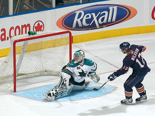 sharks-main2.jpg